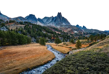 Valle alpino con bosque de coníferas, un arroyo serpenteante y picos afilados al fondo
