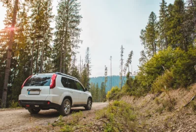 SUV blanco en una pista forestal de tierra entre pinos altos y una ladera de montaña
