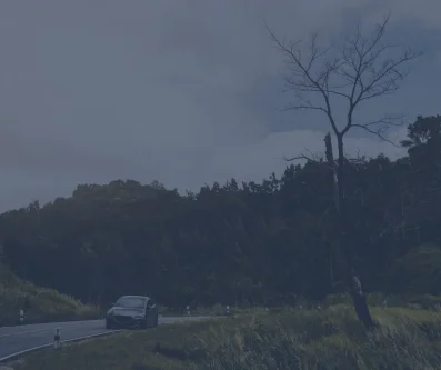 Coche pequeño circulando por una carretera entre bosque oscuro y un árbol seco al atardecer