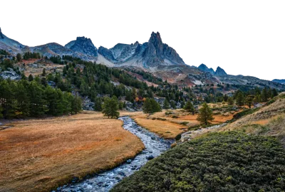 Valle alpino con bosque de coníferas, un arroyo serpenteante y picos afilados al fondo