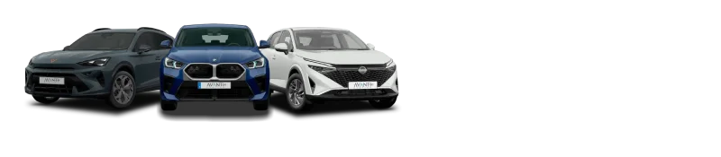 Coches renting